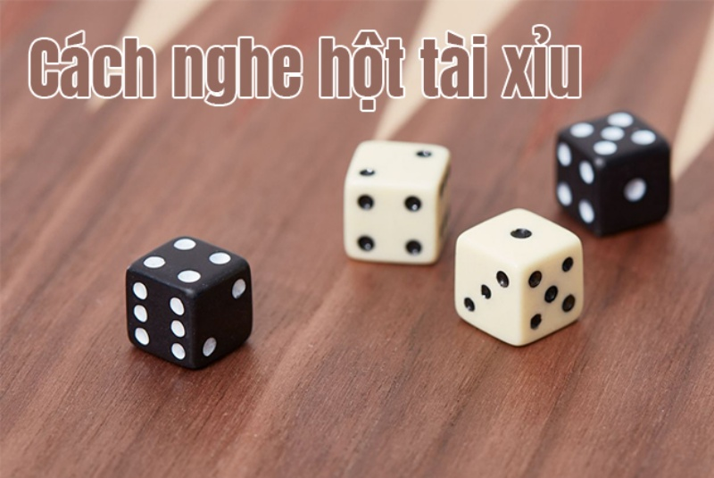 Dân chơi cá cược chuyên nghiệp nghe hột tài xỉu ra sao?